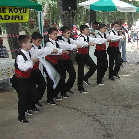 2003 Piknik — fotoğraf 10