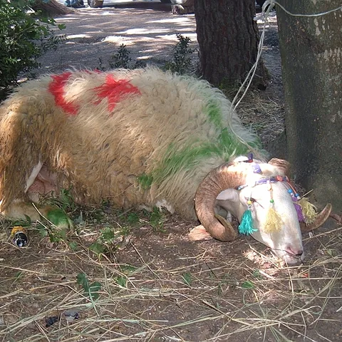2005 Piknik — fotoğraf 36