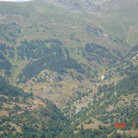 2006 Köy ve Yayla Fotoğrafları — fotoğraf 8