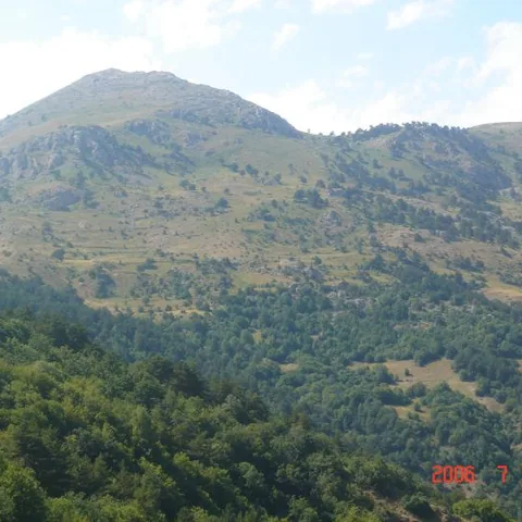 2006 Köy ve Yayla Fotoğrafları — fotoğraf 9