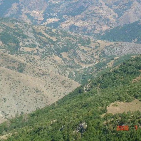 2006 Köy ve Yayla Fotoğrafları — fotoğraf 10