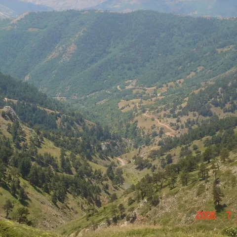 2006 Köy ve Yayla Fotoğrafları — fotoğraf 13