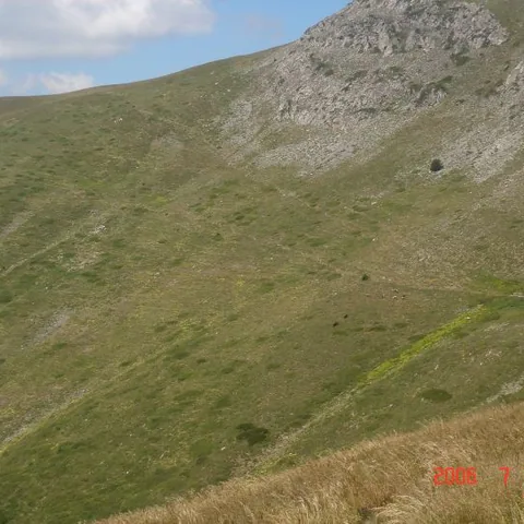 2006 Köy ve Yayla Fotoğrafları — fotoğraf 14