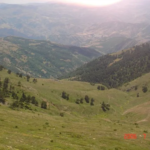 2006 Köy ve Yayla Fotoğrafları — fotoğraf 16