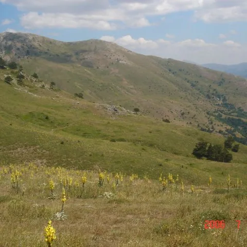 2006 Köy ve Yayla Fotoğrafları — fotoğraf 20