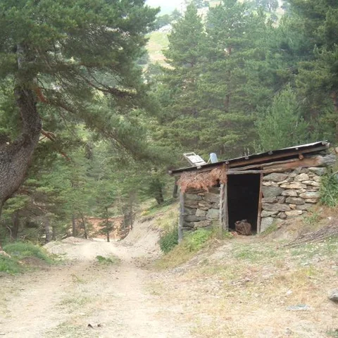 2006 Köy ve Yayla Fotoğrafları — fotoğraf 24
