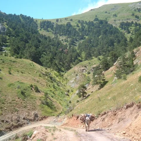 2006 Köy ve Yayla Fotoğrafları — fotoğraf 28