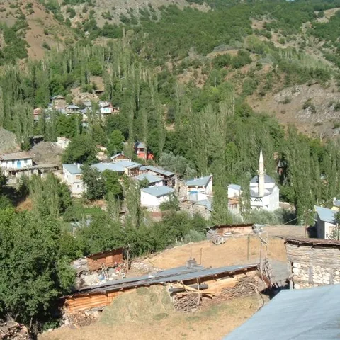 2007 Köy ve Yayla — fotoğraf 27