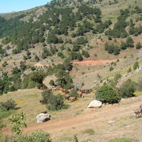 2007 Köy ve Yayla — fotoğraf 30