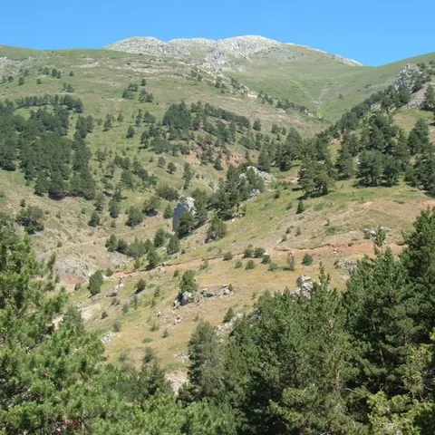2007 Köy ve Yayla — fotoğraf 31