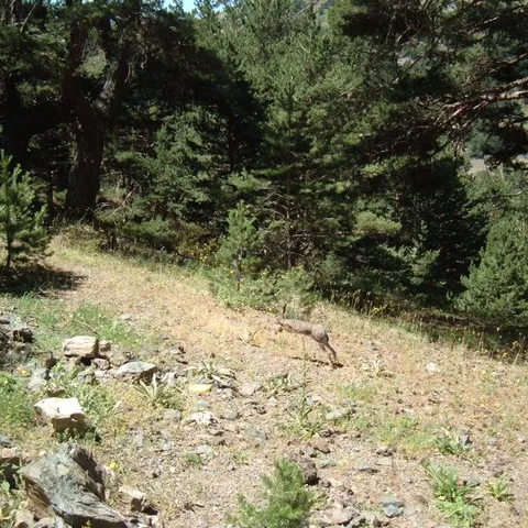 2007 Köy ve Yayla — fotoğraf 34