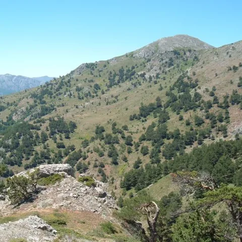 2007 Köy ve Yayla — fotoğraf 38