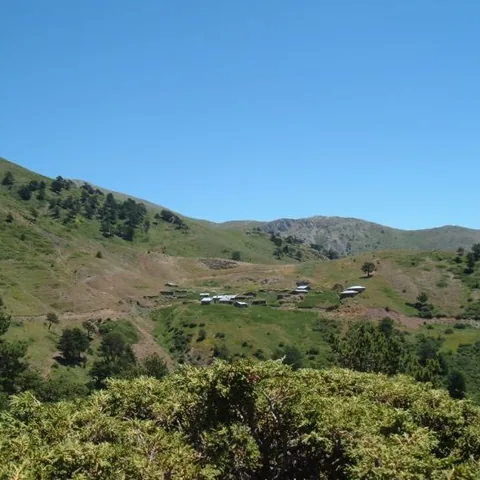 2007 Köy ve Yayla — fotoğraf 39