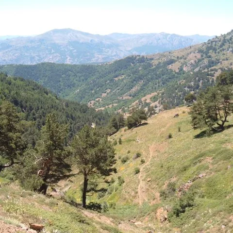 2007 Köy ve Yayla — fotoğraf 40