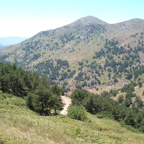 2007 Köy ve Yayla — fotoğraf 43