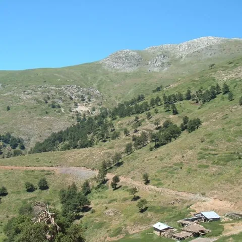 2007 Köy ve Yayla — fotoğraf 44