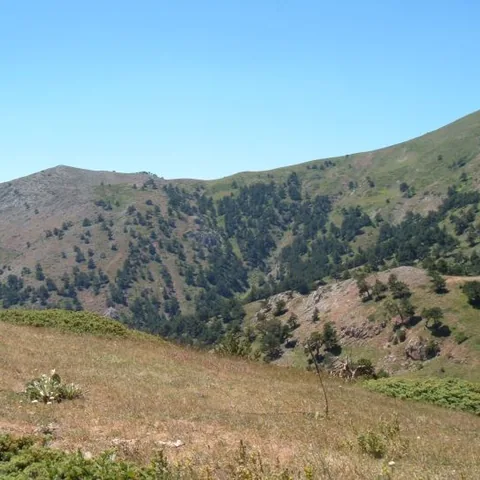 2007 Köy ve Yayla — fotoğraf 46