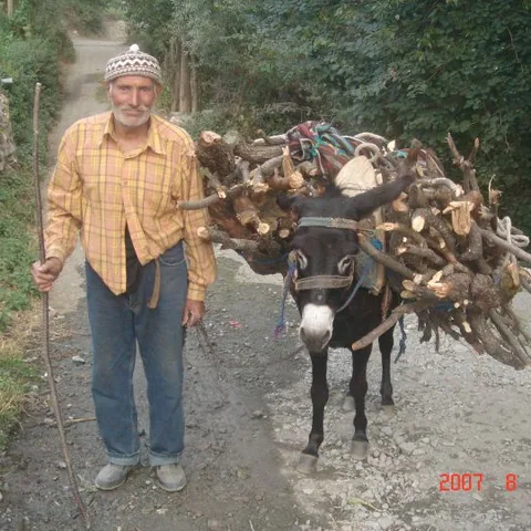 2007 Panayır — fotoğraf 31