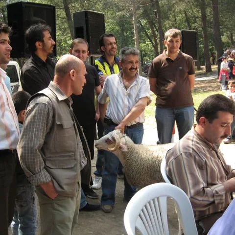 2007 Piknik — fotoğraf 47