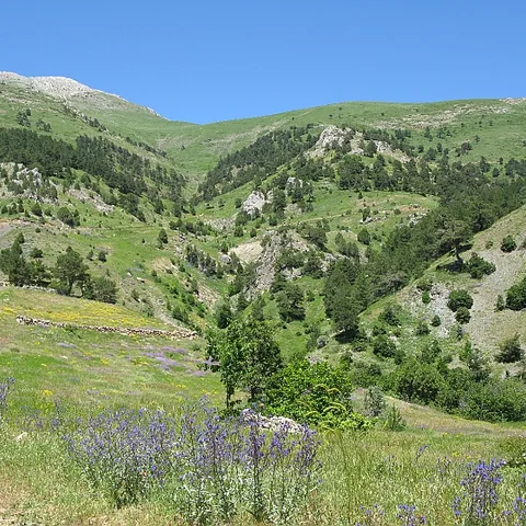 2008 Köy — fotoğraf 1