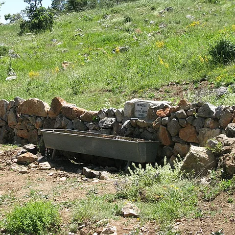 2008 Köy — fotoğraf 2