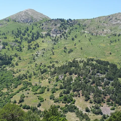2008 Köy — fotoğraf 3