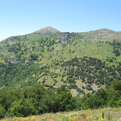 2008 Köy — fotoğraf 5