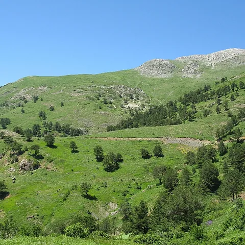 2008 Köy — fotoğraf 6