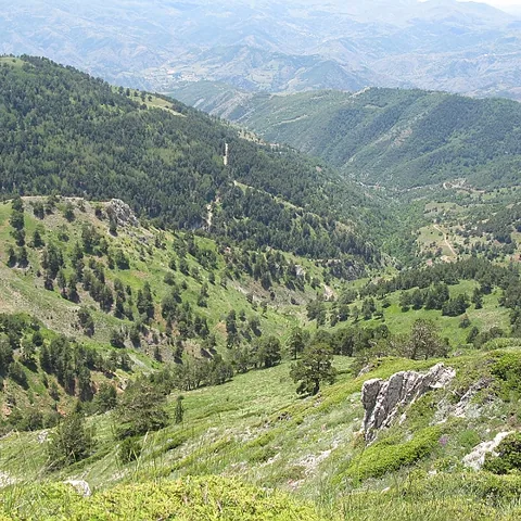 2008 Köy — fotoğraf 9