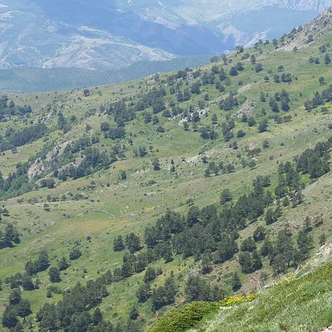 2008 Köy — fotoğraf 10
