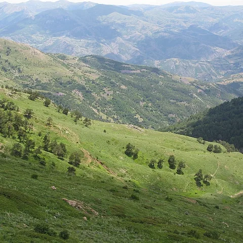 2008 Köy — fotoğraf 14