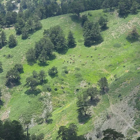 2008 Köy — fotoğraf 16