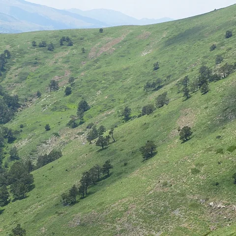 2008 Köy — fotoğraf 17