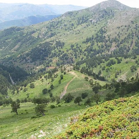 2008 Köy — fotoğraf 20