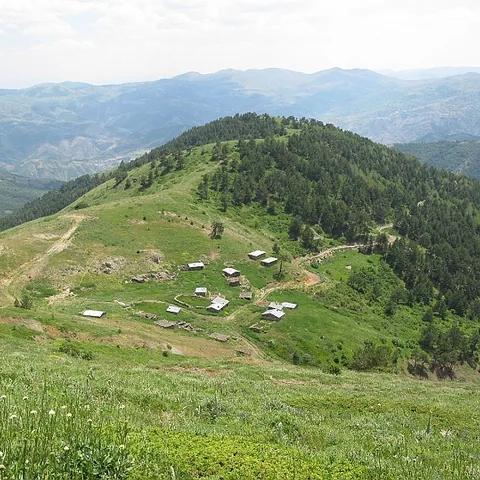 2008 Köy — fotoğraf 22