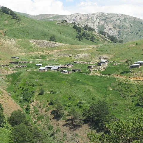 2008 Köy — fotoğraf 23