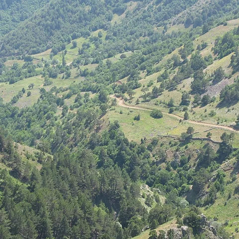 2008 Köy — fotoğraf 25