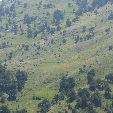 2008 Köy — fotoğraf 26