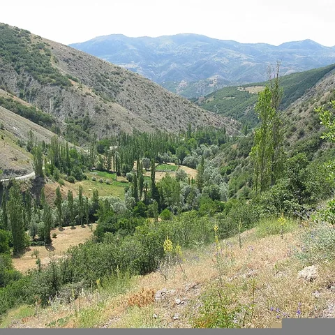2008 Köy — fotoğraf 29