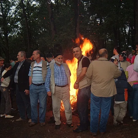 2008 Piknik — fotoğraf 9