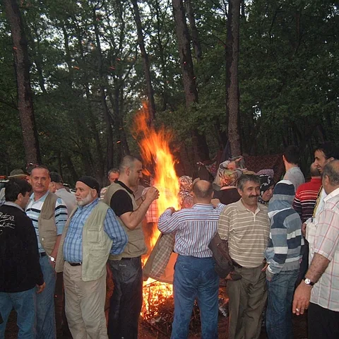 2008 Piknik — fotoğraf 10