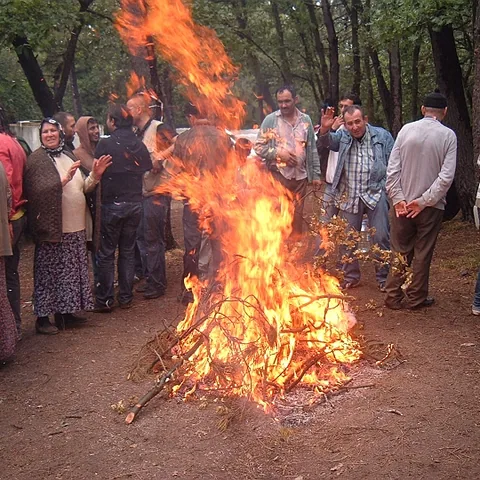 2008 Piknik — fotoğraf 15