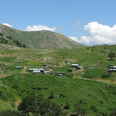 2009 Köy ve Yayla — fotoğraf 10