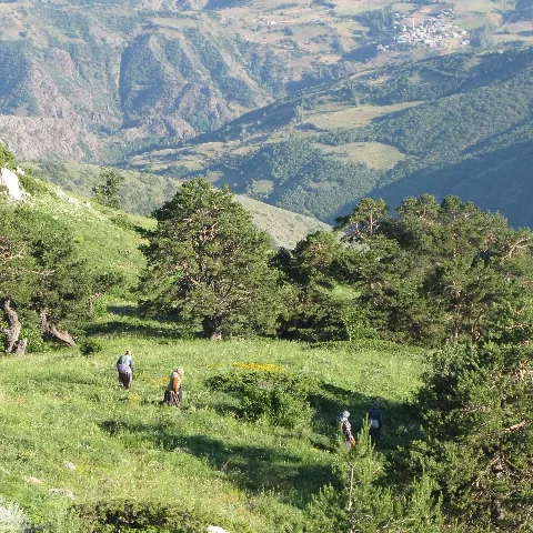 2009 Köy ve Yayla — fotoğraf 19