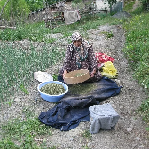 2009 Köy ve Yayla — fotoğraf 24