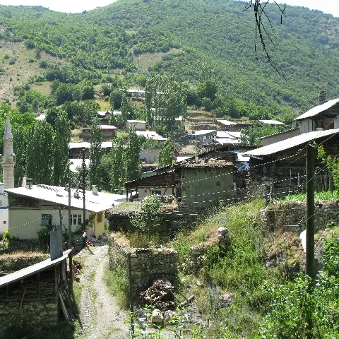 2009 Köy ve Yayla — fotoğraf 34