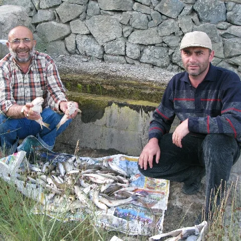 2009 Köy ve Yayla — fotoğraf 35