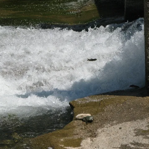 2009 Köy ve Yayla — fotoğraf 42
