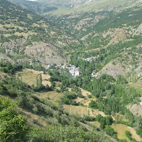 2009 Köy ve Yayla — fotoğraf 47