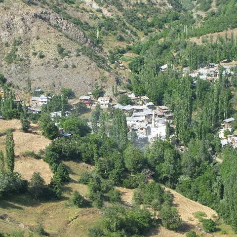 2009 Köy ve Yayla — fotoğraf 48